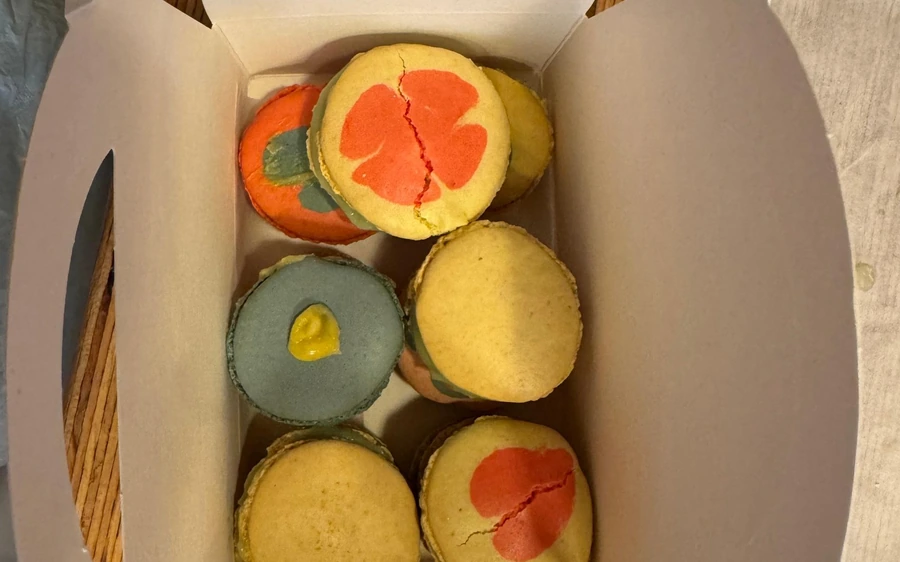 A box of pastel macarons