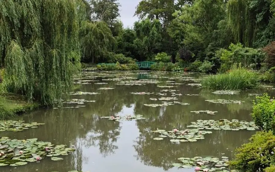 Water lilies on the pond in Monet’s garden at Giverny